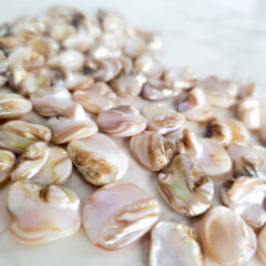 訂正があります！！！